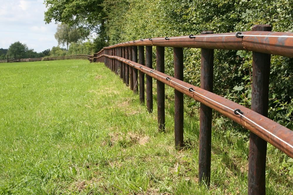 schandaal Betekenisvol hoe Elektrische of houten omheining voor paarden? Voor- en nadelen