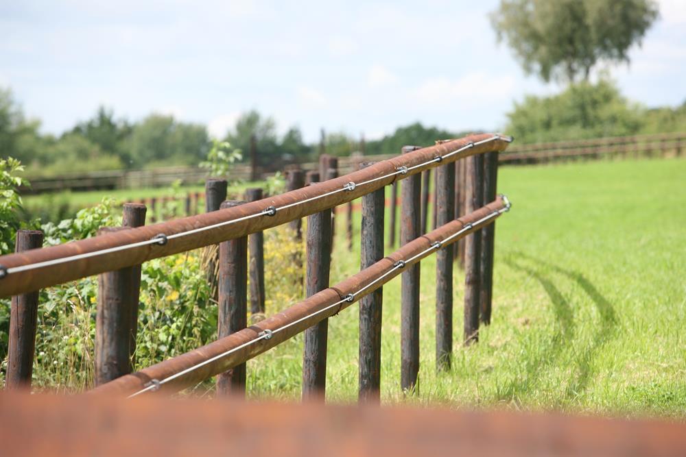 schandaal Betekenisvol hoe Elektrische of houten omheining voor paarden? Voor- en nadelen