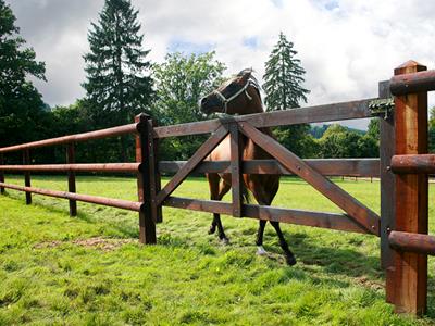 Portails pour chevaux