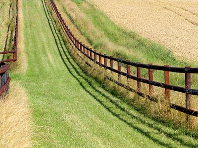 Horse fence