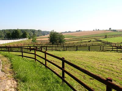 Wooden fence