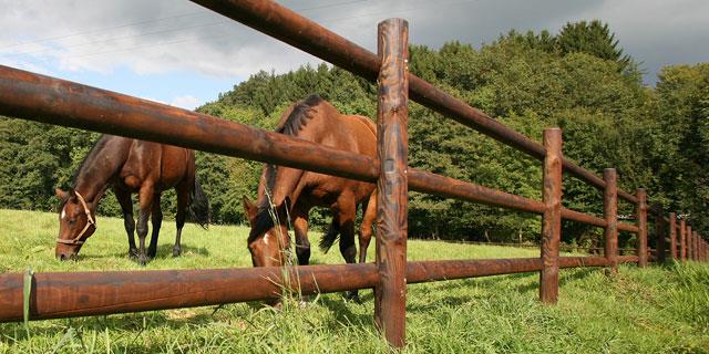 cloture pour chevaux - 10 choses auxquelles il faut penser avant de construire une clôture en bois