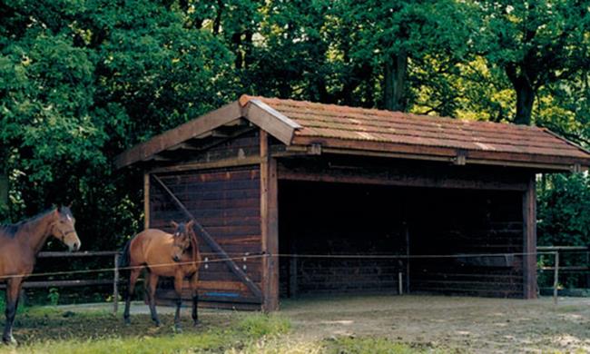 Box 2 chevaux bois traité - Abris