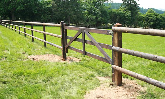 Wooden gate for horses - High-quality DURAfence gate