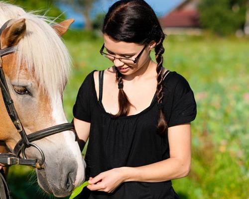 Spende an einen Verein für Reittherapie