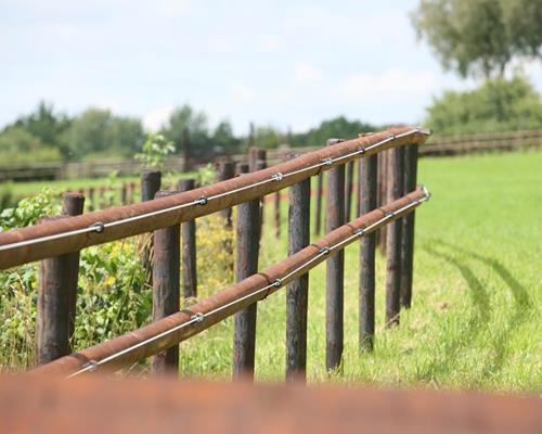 Quelle clôture choisir pour des chevaux ?