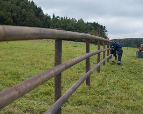 10 points to consider before building a wooden fence