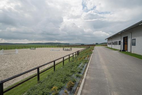 Belgian horse rider Grégory Wathelet, European silver medalist, chose Durafence