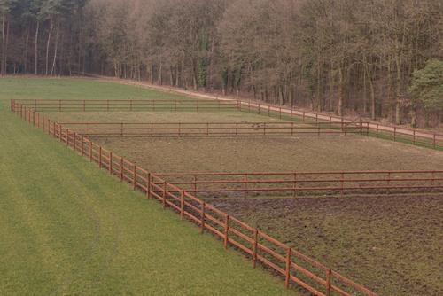 Nieuwe paardenomheiningen voor het paardencentrum « Sentower Park » (België)