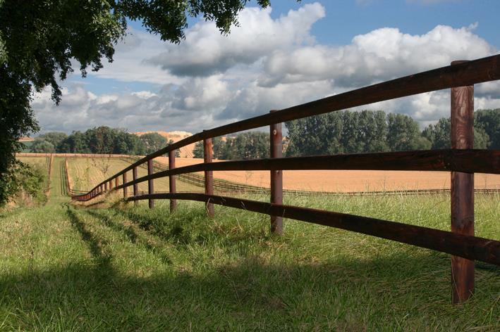 Weidezaun für Pferde langlebig und aus salzimprägniertem Holz