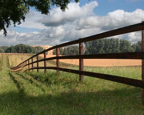 Agricultural fence - Agricultural fencing for horses: How can it be preserved?