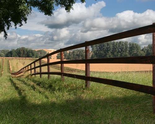 cloture de campagne - Clôture de campagne pour chevaux : comment les préserver ?