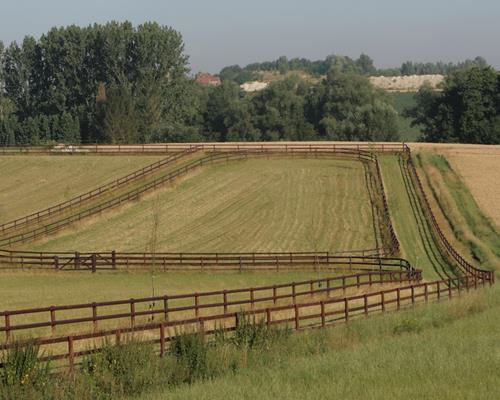 Horse meadow - Agricultural fencing for horses: How can it be preserved?
