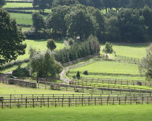 Weideomheiningen voor paarden: hoe onderhoudt u ze?