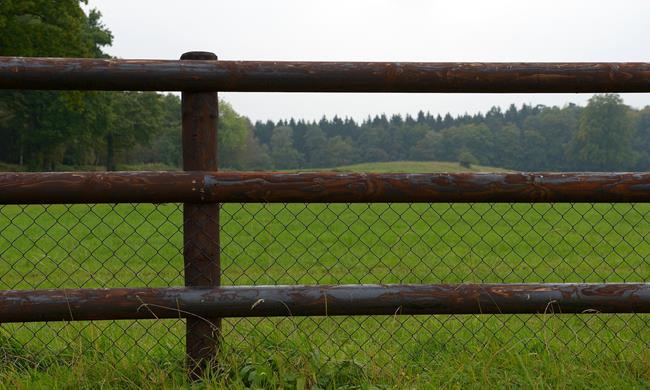 Cl&ocirc;tures munies de grillage