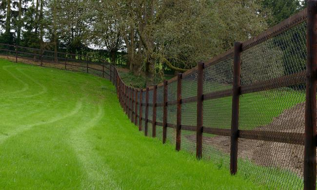 Fences with mesh