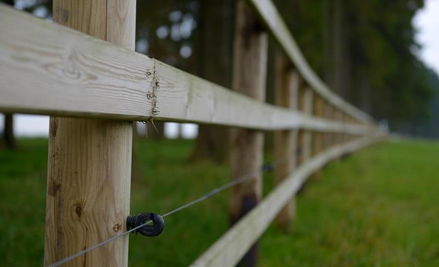 Electrified fences