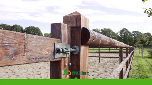 Equine veterinarian Florence Gorter, owner of equine veterinary clinic De Molenweg in Maastricht.