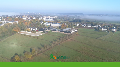 Haras Sonnenhof à Saint-Vith (Belgique)