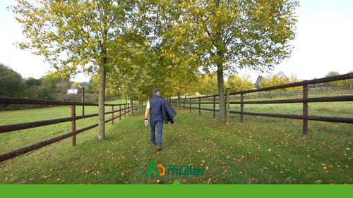 Haras Sonnenhof à Saint-Vith (Belgique)