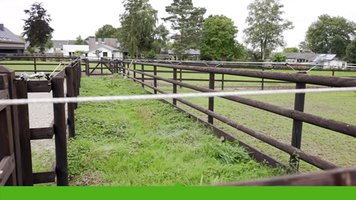 Réalisation d’une clôture pour chevaux de dressage espagnols par Durafence