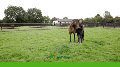 Réalisation d’une clôture pour chevaux de dressage espagnols par Durafence