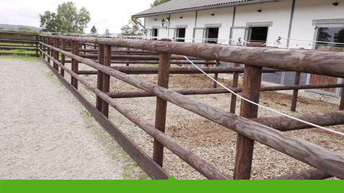Réalisation d’une clôture pour chevaux de dressage espagnols par Durafence