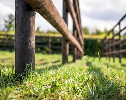 Een omheining in keteldruk geïmpregneerd hout: stevigheid plus schoonheid