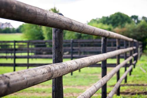 Houten omheiningen voor paarden in donkere kleuren