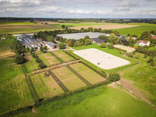 Paddock en weiden van stoeterij H-Stables