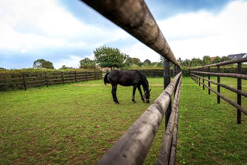 Environmentally-friendly equestrian fencing