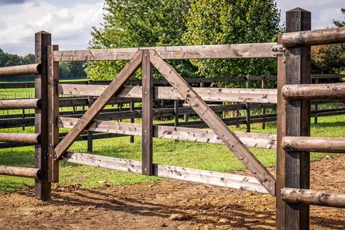 Koppeltor aus Holz - Der Dressur- und Zuchtstall H-Stables in Corbais (Belgien)